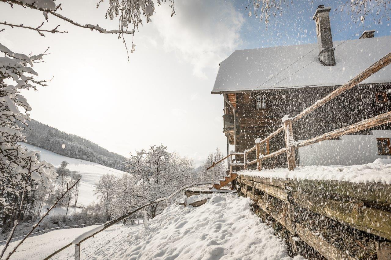 Urlaub Auf Der Alm "Deluxe" Villa Preggraben Dış mekan fotoğraf