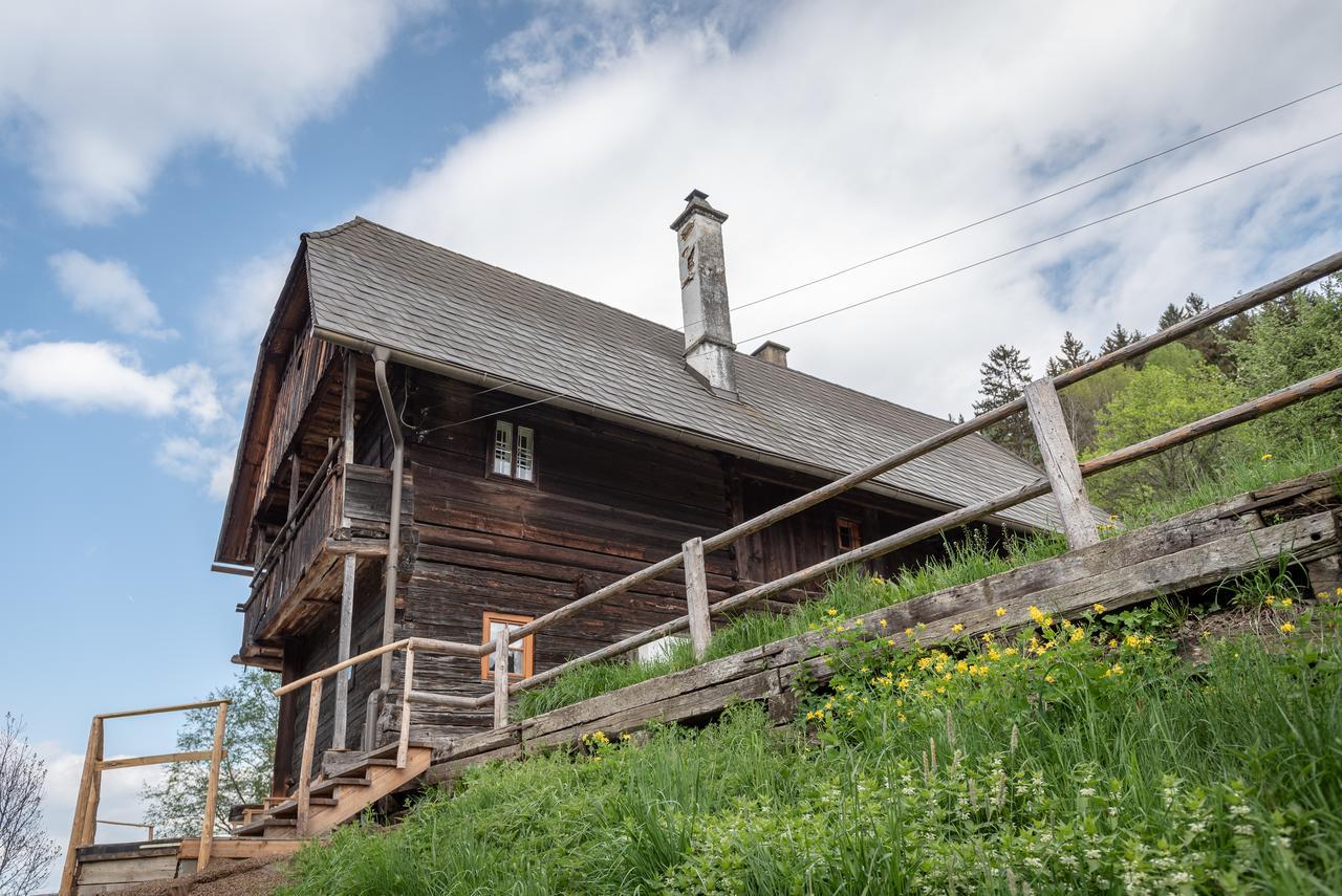 Urlaub Auf Der Alm "Deluxe" Villa Preggraben Dış mekan fotoğraf