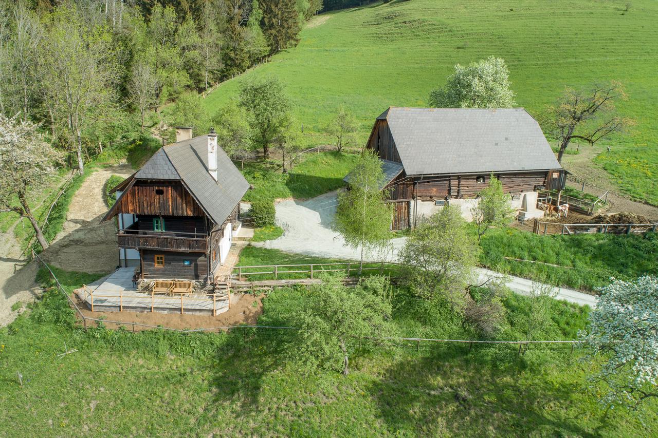 Urlaub Auf Der Alm "Deluxe" Villa Preggraben Dış mekan fotoğraf