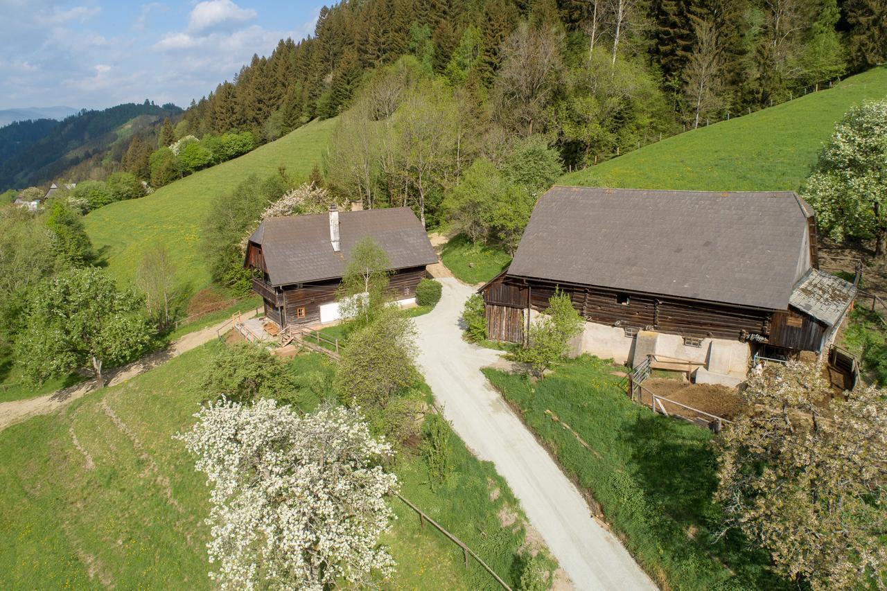 Urlaub Auf Der Alm "Deluxe" Villa Preggraben Dış mekan fotoğraf